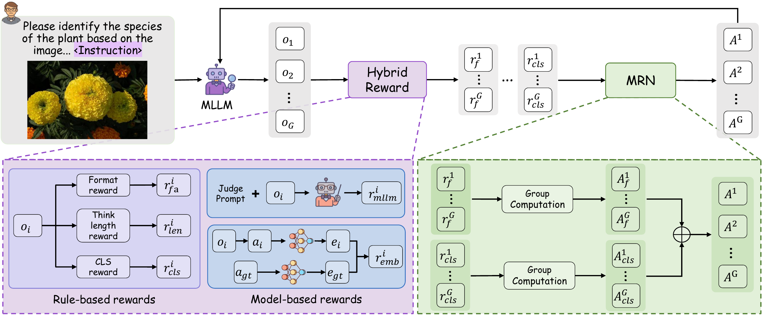 Overview of ReFine-RFT framework