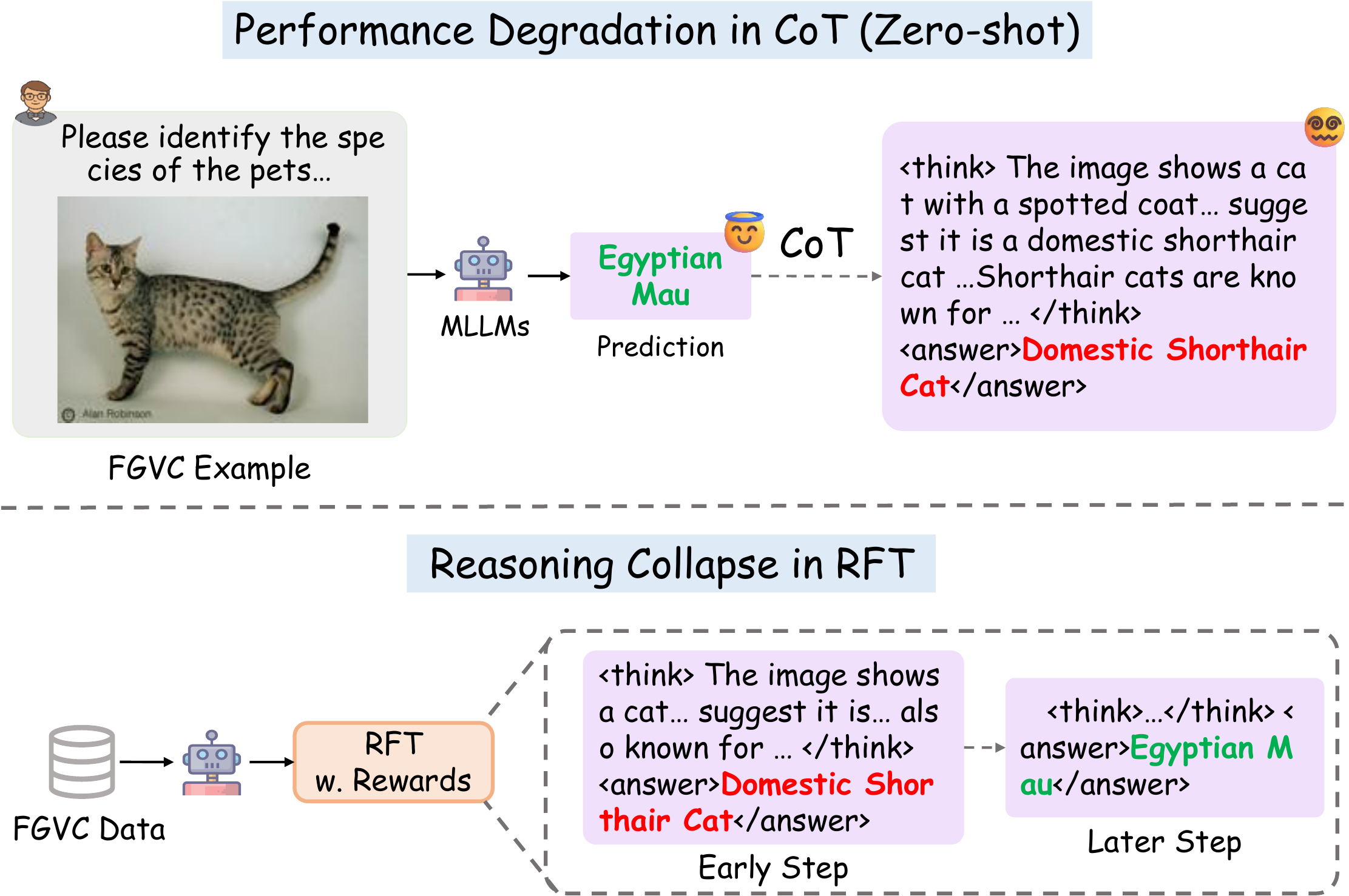 Performance degradation with CoT and Reasoning Collapse in RFT